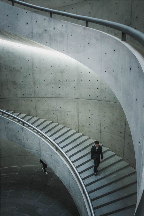 安藤忠雄光影巡禮 解鎖建筑之旅，重塑旅行體驗(yàn)